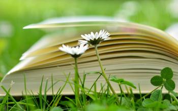 Book on the grass